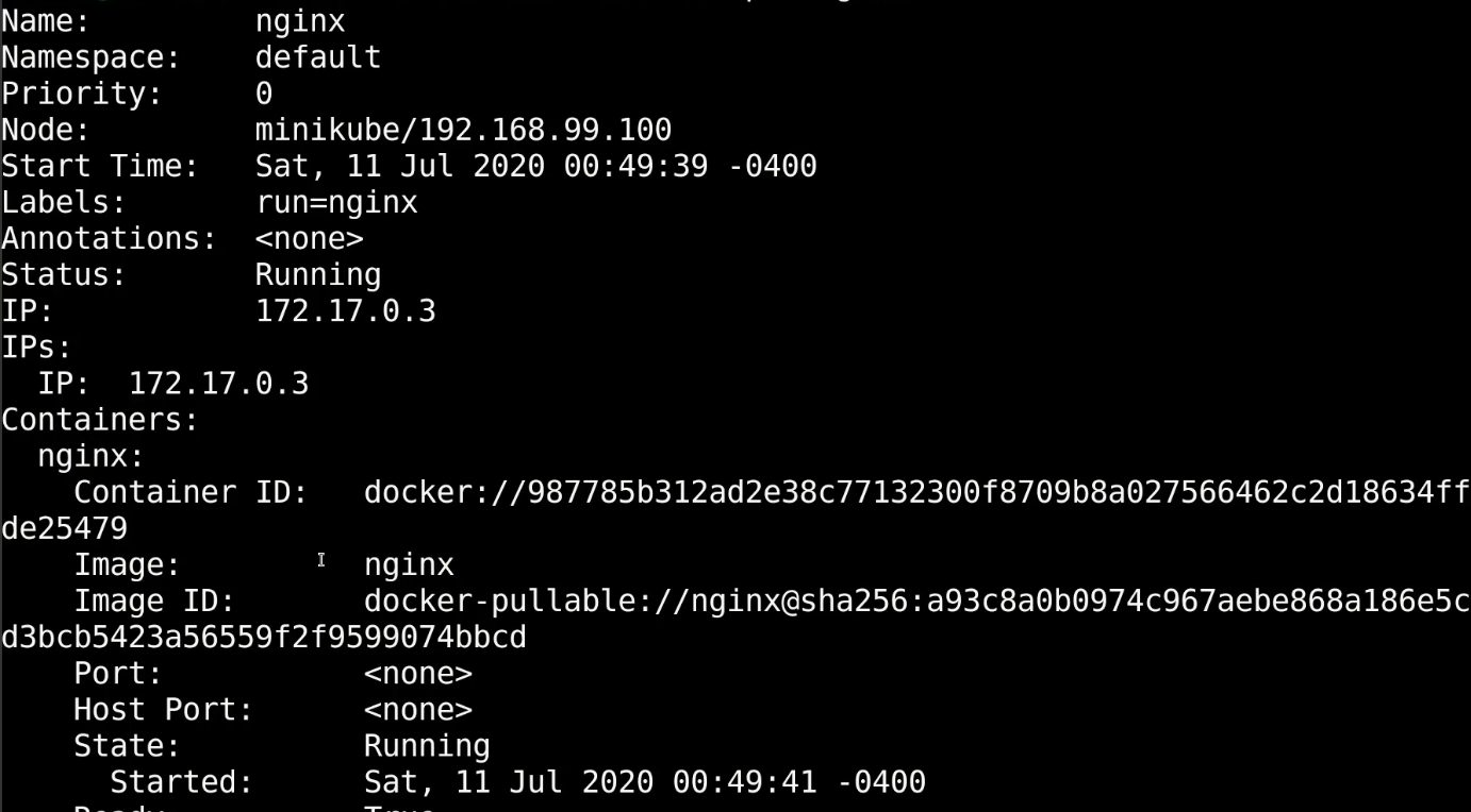 nginx-describe
