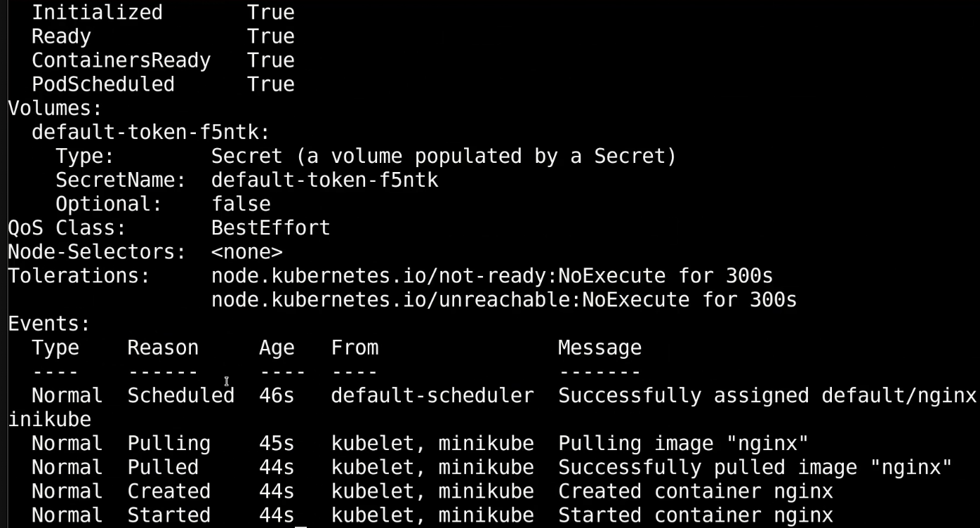 nginx-describe