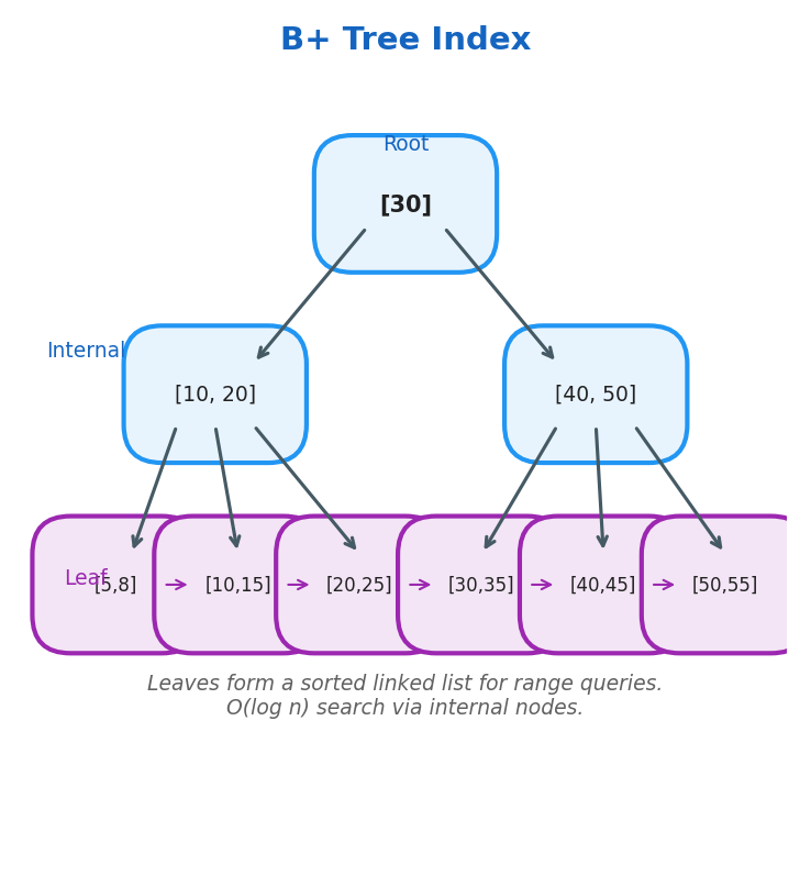 B+ Tree