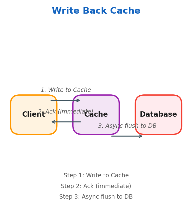 Write Back Cache