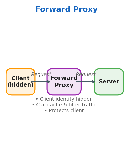 Forward Proxy