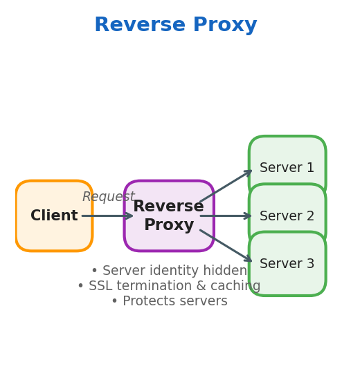 Reverse Proxy